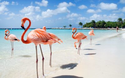 Aruba Semana Santa 2026 – 5 días / 4 noches